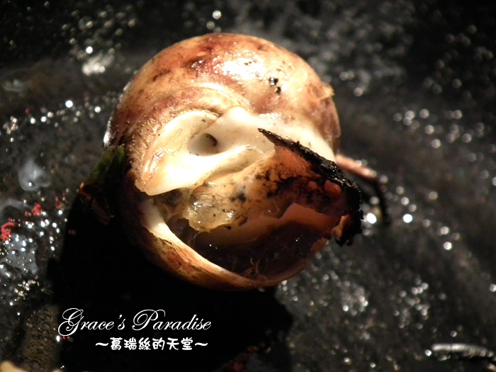 DSCF6520.JPG DSCF6520.JPG