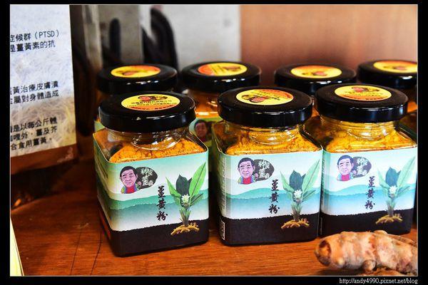 20160306大湖薑麻園26