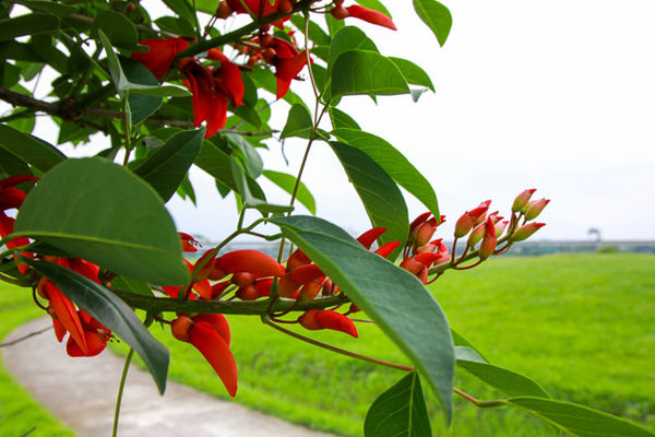 IMG_0036.jpg IMG_0036.jpg