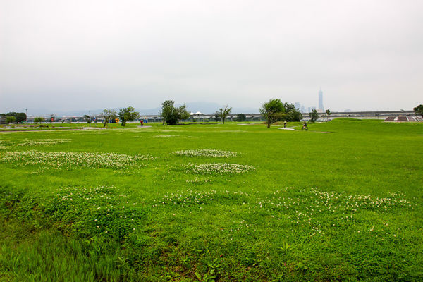 IMG_0017.jpg IMG_0017.jpg