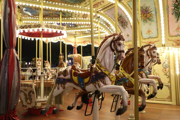 IMG_4060.JPG IMG_4060.JPG