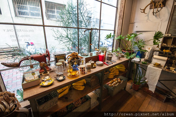 [吃喝]老宅與綠意共生的老式情懷～Kokoni green。