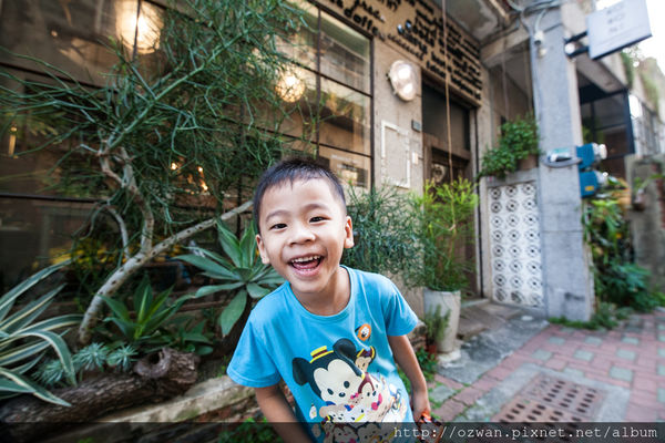 [吃喝]老宅與綠意共生的老式情懷～Kokoni green。