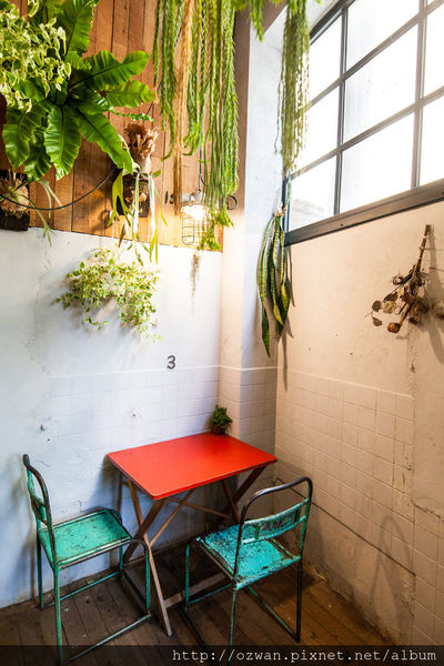 [吃喝]老宅與綠意共生的老式情懷～Kokoni green。