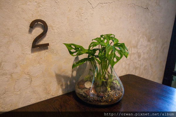 [吃喝]老宅與綠意共生的老式情懷～Kokoni green。