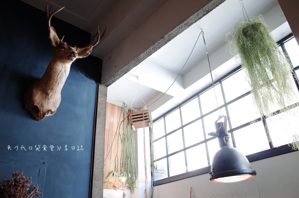 17-11-07-23-50-05-053_deco.jpg 17-11-07-23-50-05-053_deco.jpg