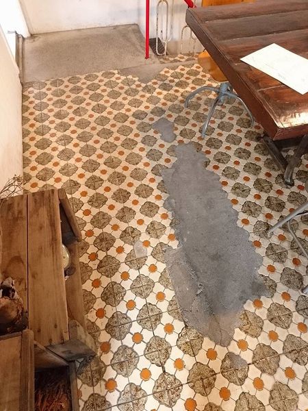 16105833_1378750732156612_250272899829412352_n