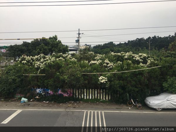 S__17072180.jpg S__17072180.jpg