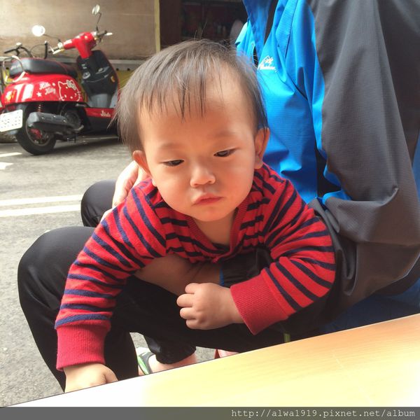 IMG_0203.JPG IMG_0203.JPG