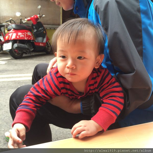 IMG_0204.JPG IMG_0204.JPG