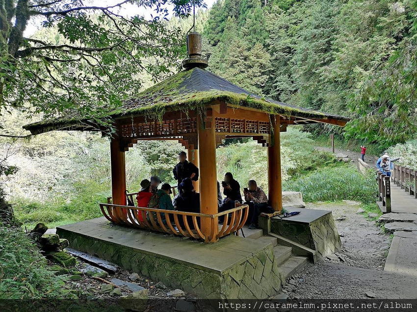 10 特富野古道 涼亭.jpg 10 特富野古道 涼亭.jpg