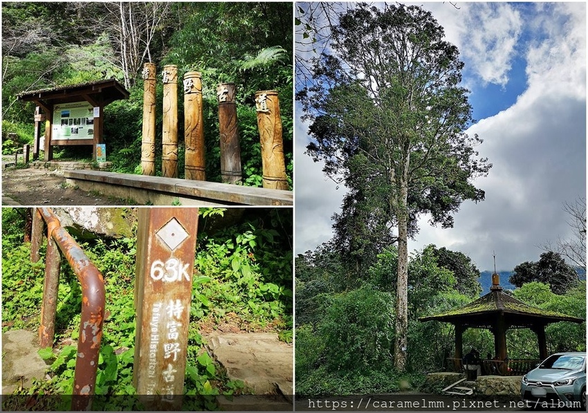 90 特富野古道6.3K.jpg 90 特富野古道6.3K.jpg