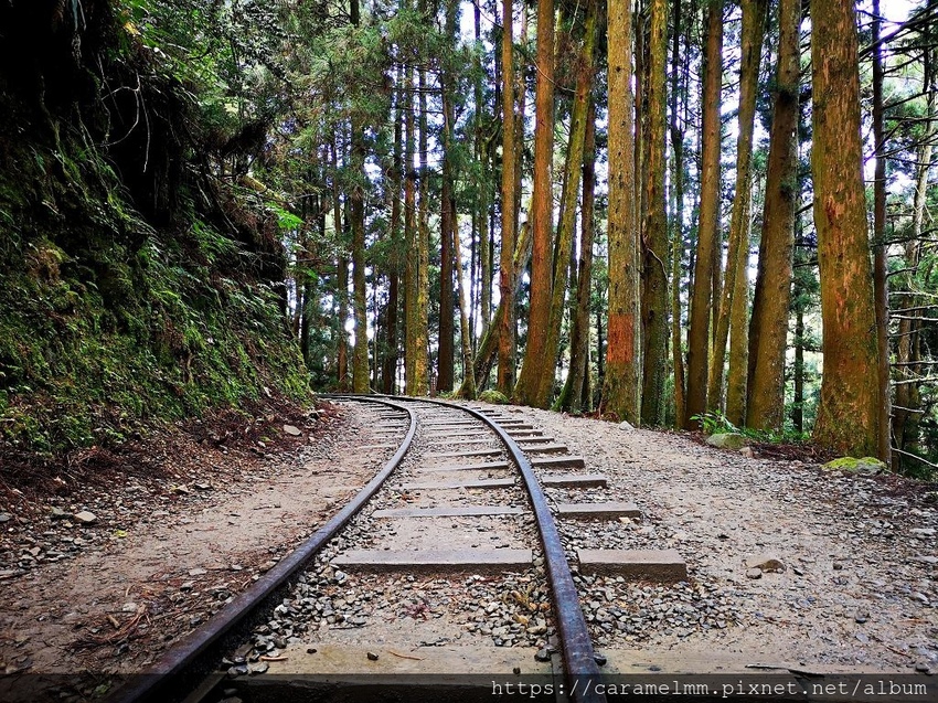 04 特富野古道 鐵軌.jpg 04 特富野古道 鐵軌.jpg
