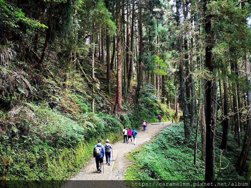 05 特富野古道.jpg 05 特富野古道.jpg