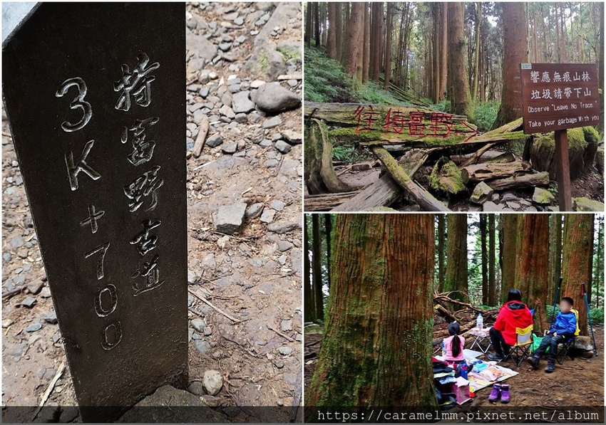 50 特富野古道 3.7K.jpg 50 特富野古道 3.7K.jpg