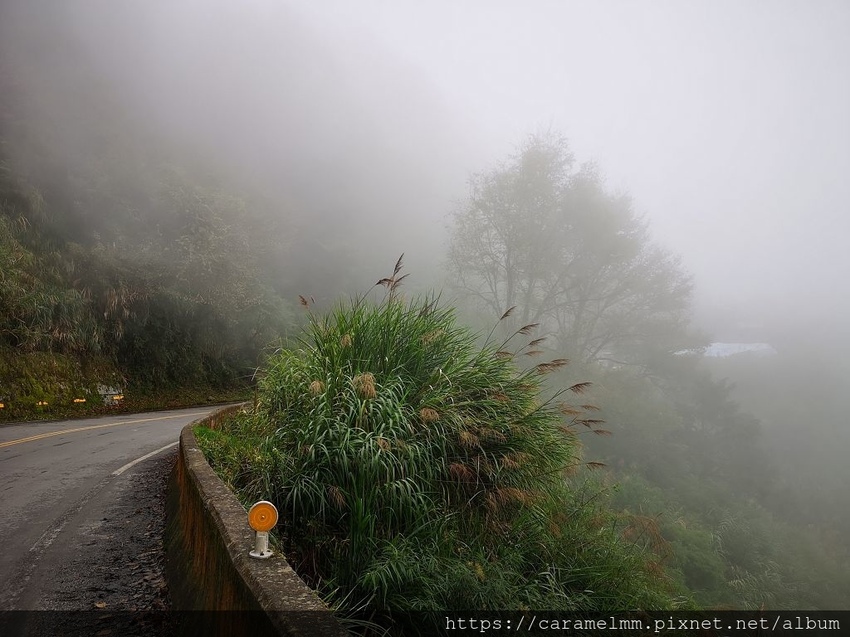 100 特富野古道 停車.jpg 100 特富野古道 停車.jpg
