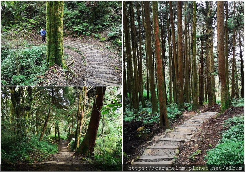 52 特富野古道.jpg 52 特富野古道.jpg