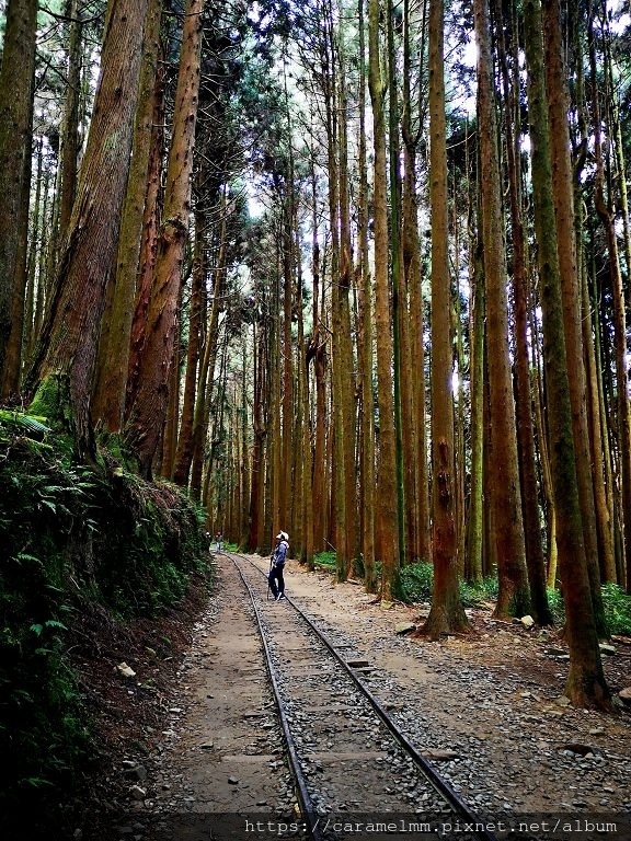 07 特富野古道.jpg 07 特富野古道.jpg