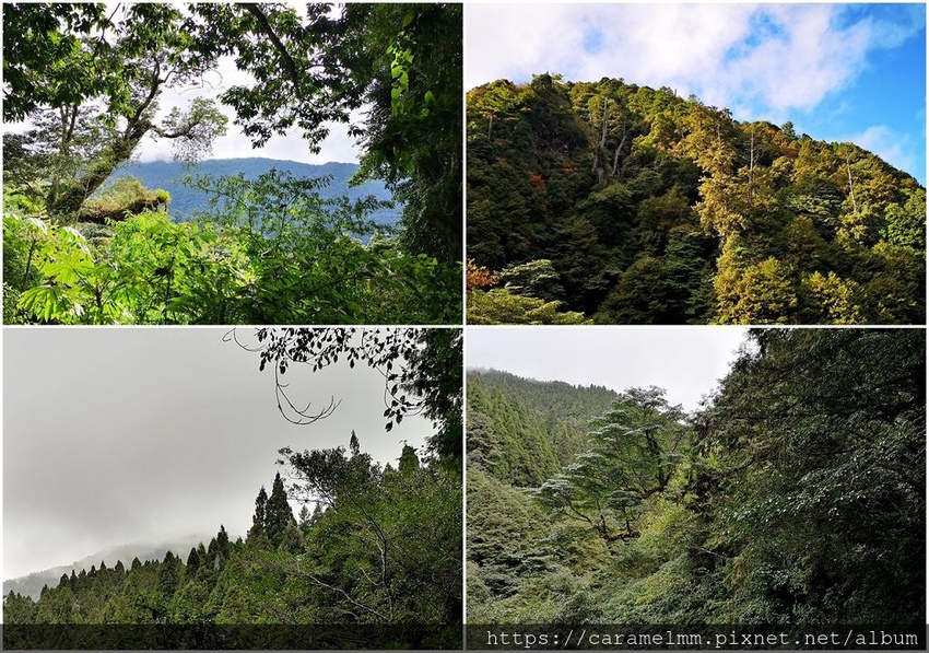 20 特富野古道 展望.jpg 20 特富野古道 展望.jpg