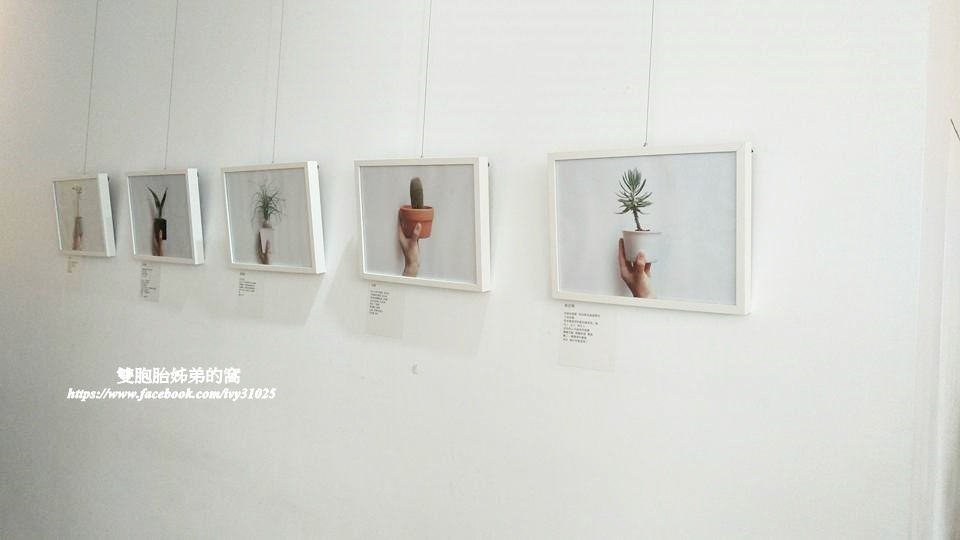 18881935_1871312126456127_8102474646165601630_n