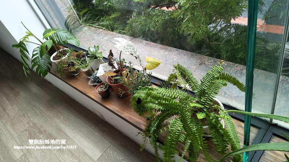 18920352_1871312213122785_5141726991432234921_n