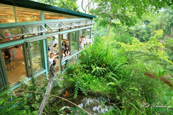 貓尾巴咖啡館：【花蓮美食】鯉魚潭旁的療癒貓咖啡店，看山望海的好去處：貓尾巴咖啡