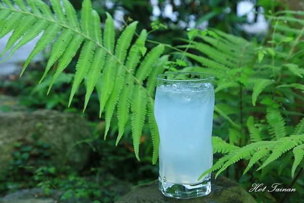 貓尾巴咖啡館：【花蓮美食】鯉魚潭旁的療癒貓咖啡店，看山望海的好去處：貓尾巴咖啡