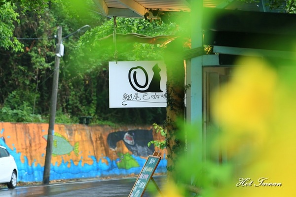 貓尾巴咖啡館：【花蓮美食】鯉魚潭旁的療癒貓咖啡店，看山望海的好去處：貓尾巴咖啡