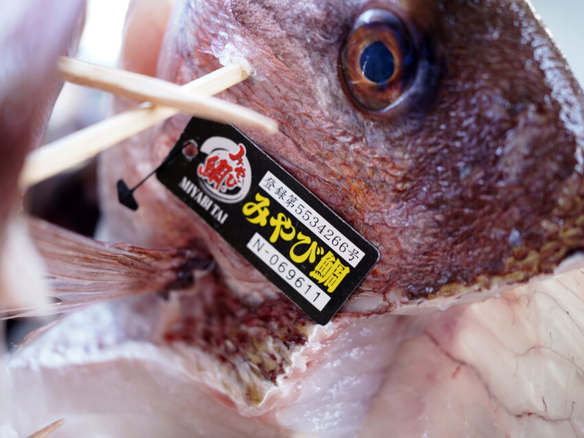 台南辦桌推薦│洪廚喜宴心得分享│辦桌也能吃到儀式感│真鯛刺身