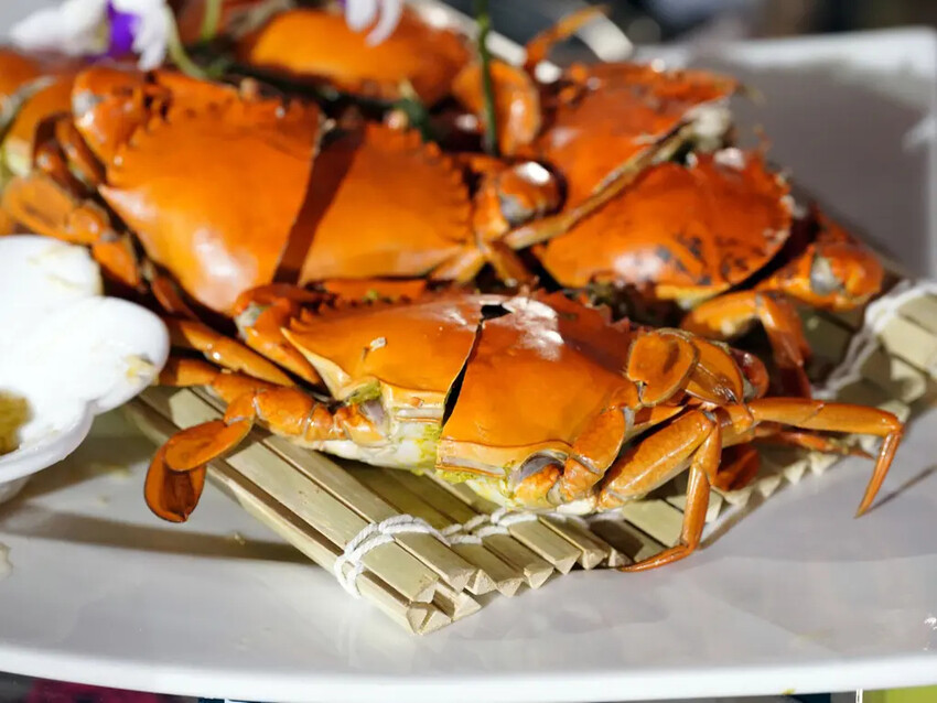 台南婚宴推薦│洪廚喜宴│夢幻戶外花系婚禮│絕美佈置＋創意辦桌