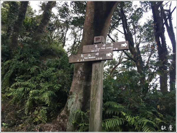 IMG_2991.JPG IMG_2991.JPG