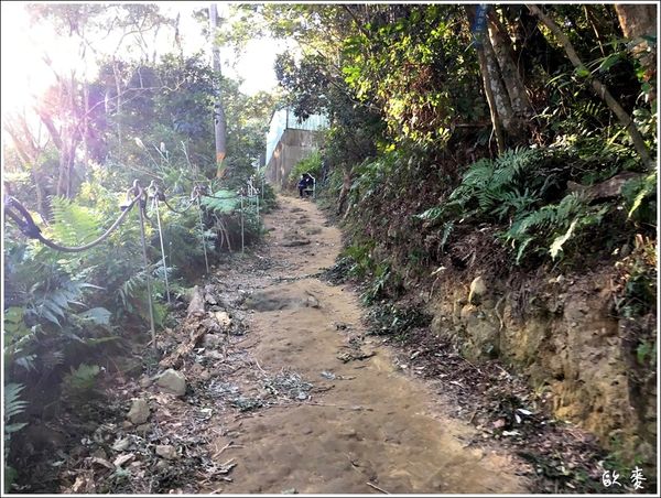 IMG_2934.JPG IMG_2934.JPG