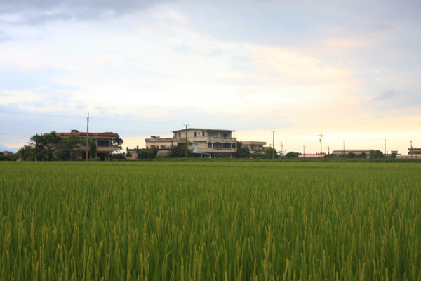 藍天+白雲+大海=花蓮
