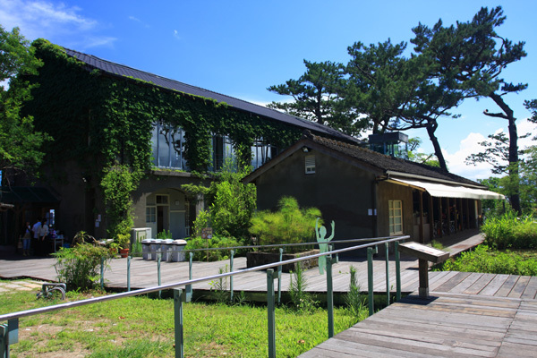 藍天+白雲+大海=花蓮