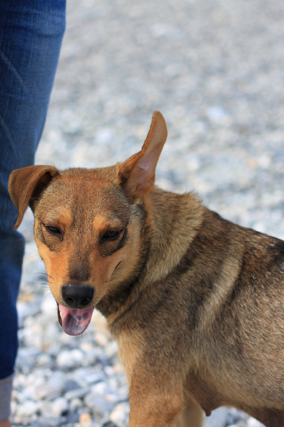 藍天+白雲+大海=花蓮