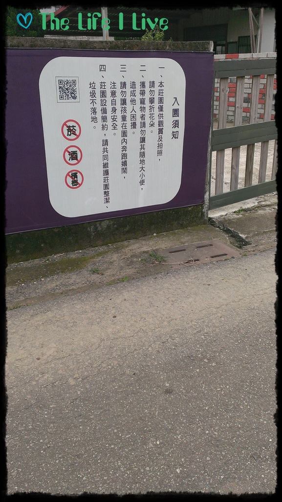 葛瑞絲香草田 18.jpg