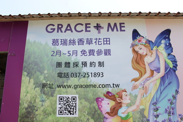 2020葛瑞絲香草田 (4).JPG