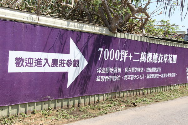 2020葛瑞絲香草田 (2).JPG