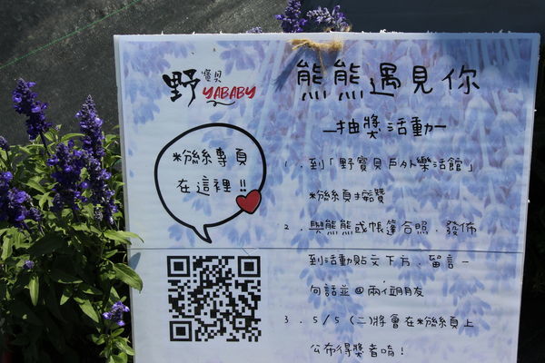 野寶貝-熊熊遇見你抽獎活動 (5).JPG