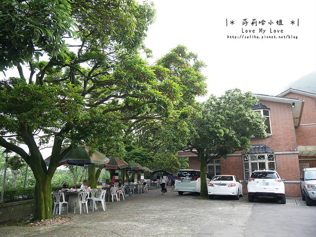 陽明山竹子湖餐廳美食杉木林 (42)