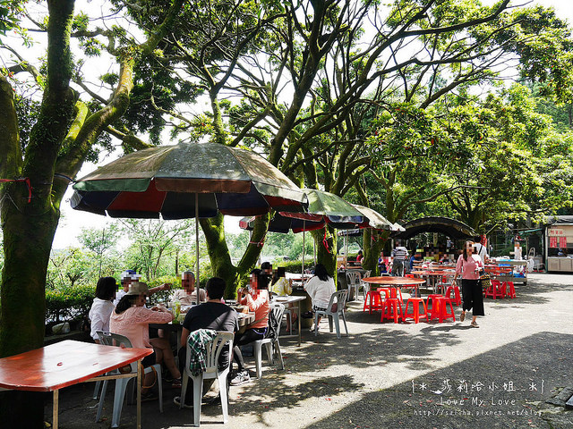 陽明山竹子湖餐廳美食杉木林 (1)