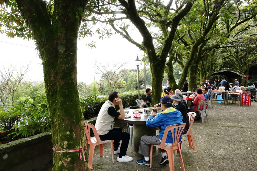 陽明山土雞景觀餐廳推薦，竹子湖杉木林餐廳白斬雞、野菜、寵物友