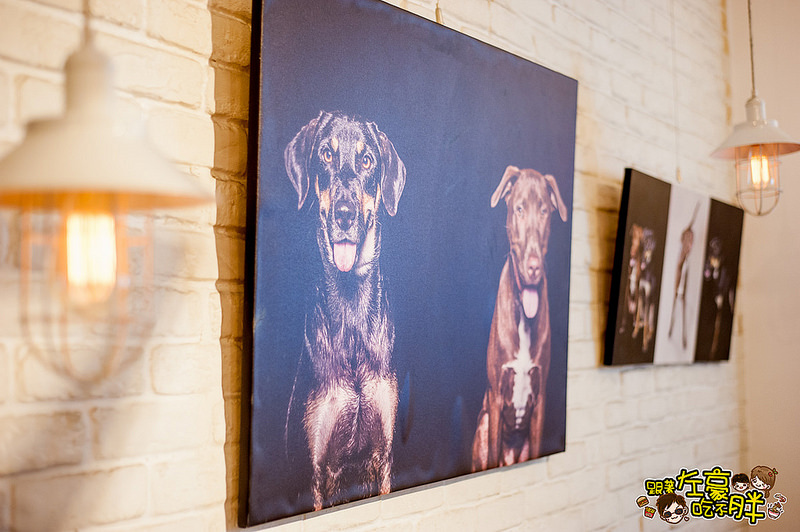 20161024-DSC_9508 20161024-DSC_9508