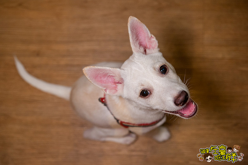 20161024-DSC_9580 20161024-DSC_9580