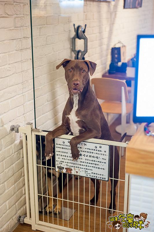 20161024-DSC_9498 20161024-DSC_9498