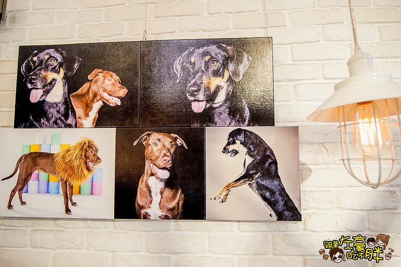 20161024-DSC_9510 20161024-DSC_9510