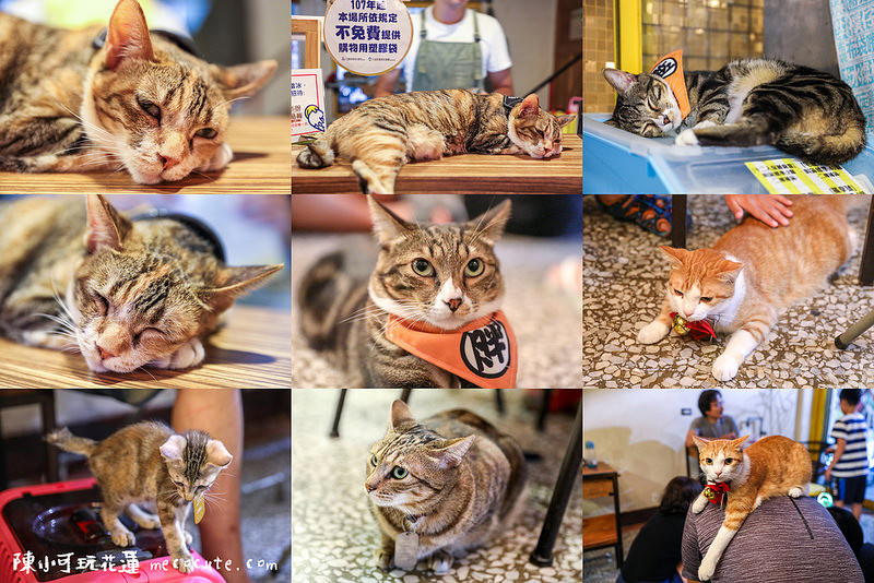 @陳小可的吃喝玩樂