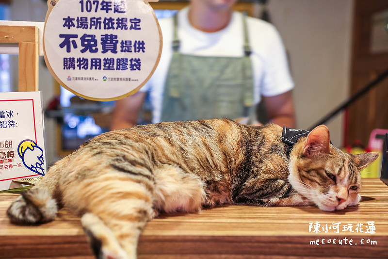 @陳小可的吃喝玩樂