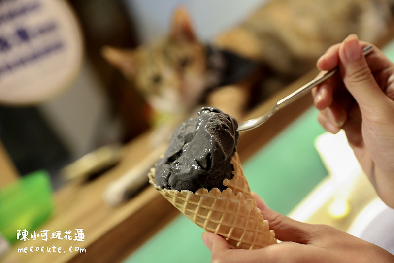 @陳小可的吃喝玩樂