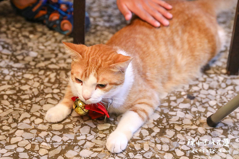 @陳小可的吃喝玩樂